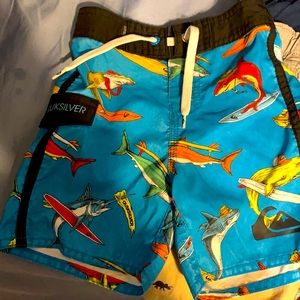 Quicksilver board shorts